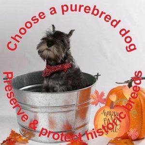 Meet your Posher, Kaye